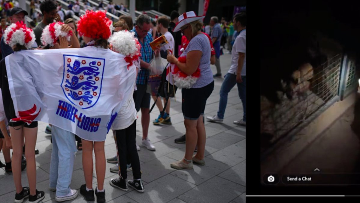 Engelska fotbollssupportrar stötte på ett lejon i deras jakt på öl Foto: The associated press. Daniel Cole/ Twitter: The CasualUltra och Alex Sul, Snapchat